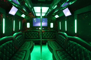 Luxury Limo Party Bus Rental
