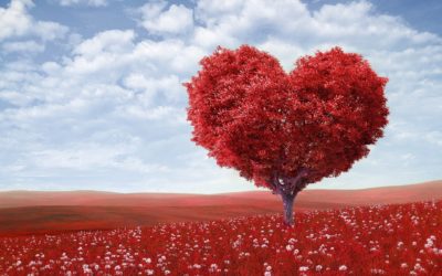 Executive Limo Fleet for Valentine’s Day