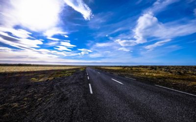 Why You Should Rent a Charter Bus this Summer