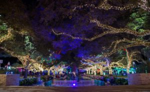 Houston Holidays Charter Bus