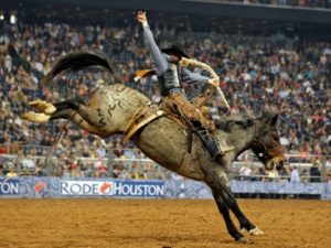 rodeo-houston-transportation