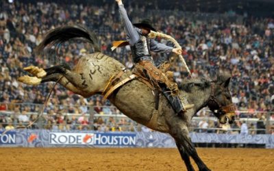 Getting To and From Rodeo Houston™ 2019 Stress Free