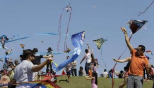 houston-festival-kite